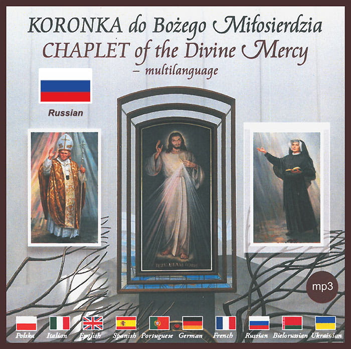 okładka  - j.rosyjski.jpg