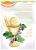 druk23_05_mp6_2022__1_-6.png